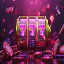 219 bet